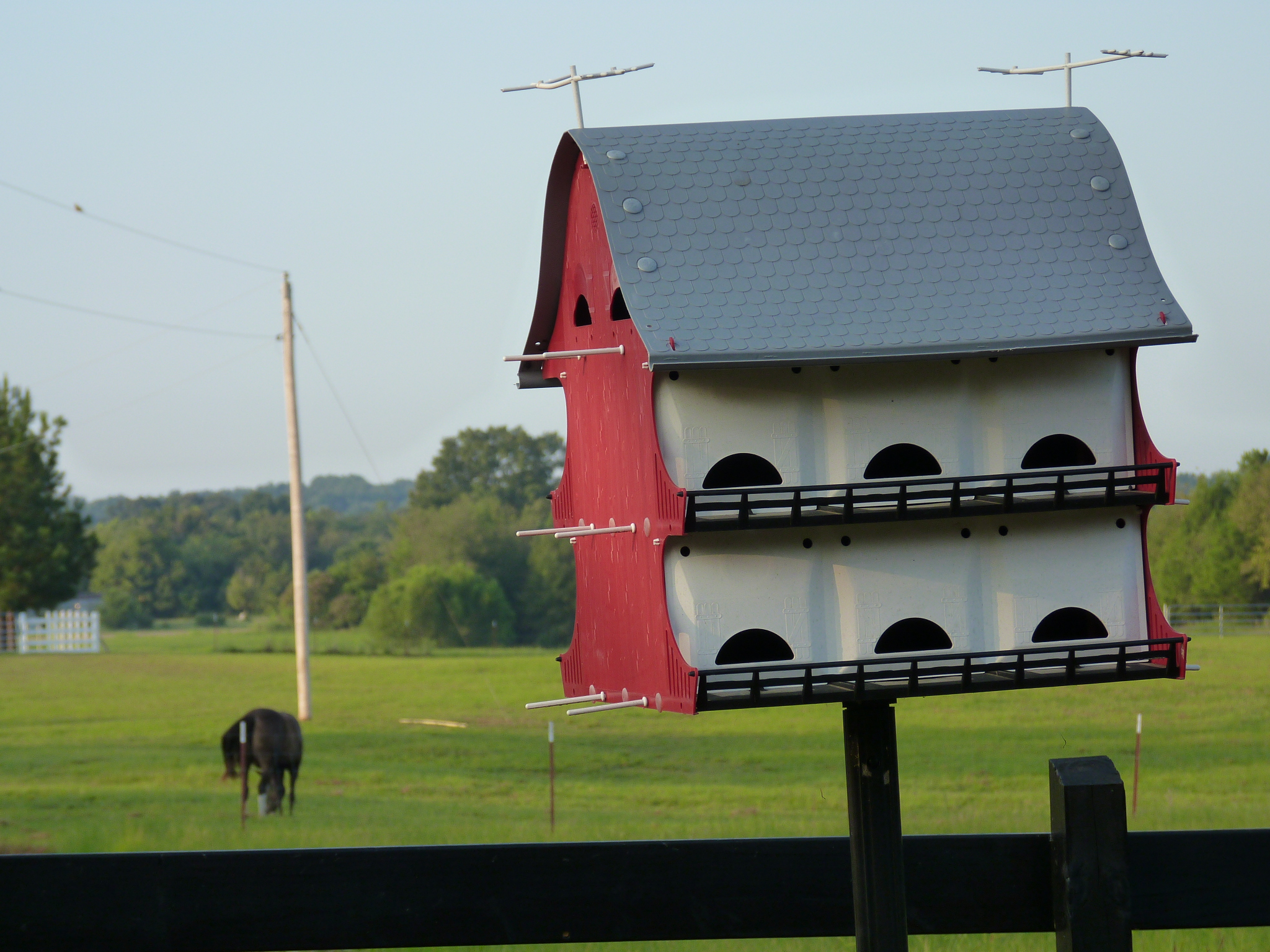 Purple Martin house