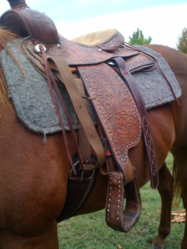 saddle